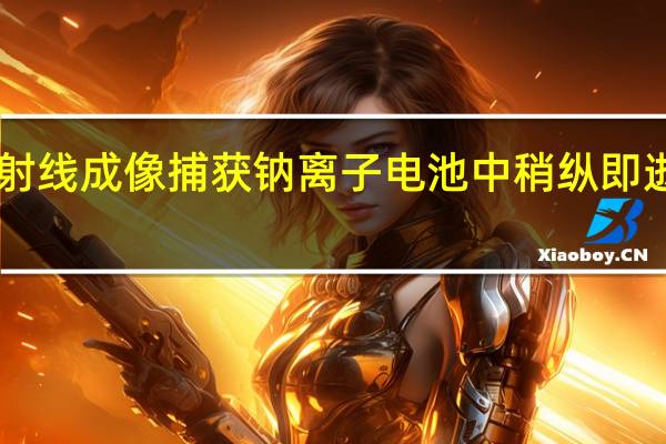 X射线成像捕获钠离子电池中稍纵即逝的缺陷