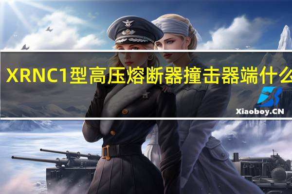 XRNC1型高压熔断器撞击器端什么意思