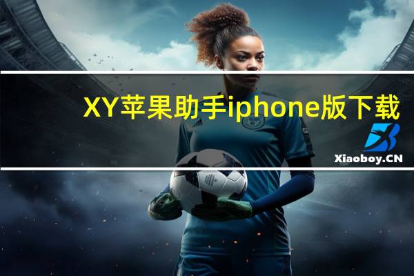 XY苹果助手iphone版下载（xy苹果助手ipad版）