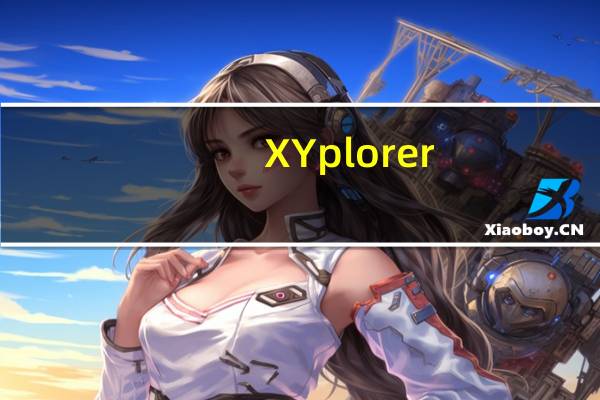 XYplorer(电脑文件管理器) V20.90.0300 官方中文版(XYplorer(电脑文件管理器) V20.90.0300 官方中文版功能简介)