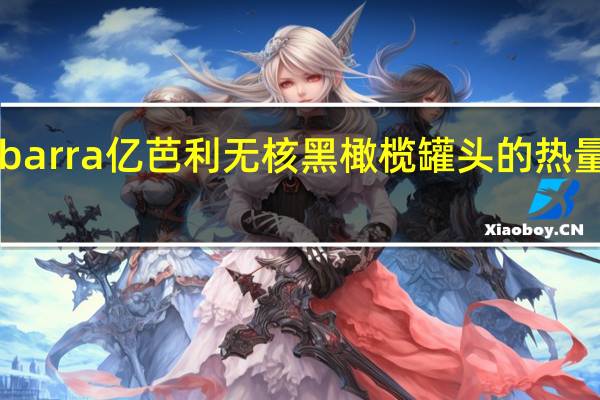 Ybarra 亿芭利无核黑橄榄罐头的热量是多少