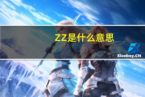 ZZ是什么意思