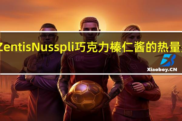 Zentis Nusspli巧克力榛仁酱的热量是多少