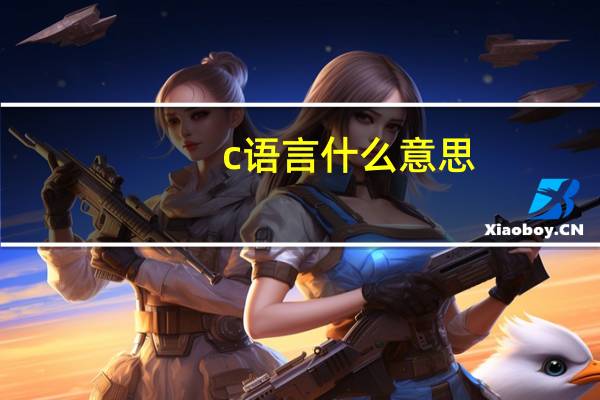 _c语言什么意思