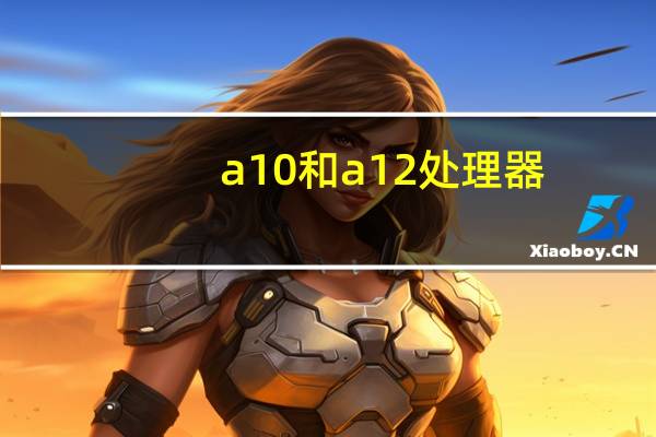 a10和a12处理器（a10和a12）
