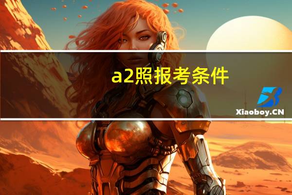a2照报考条件