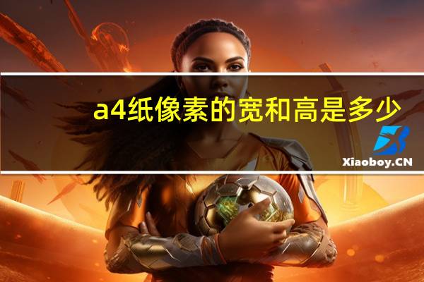 a4纸像素的宽和高是多少
