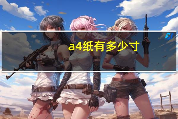 a4纸有多少寸
