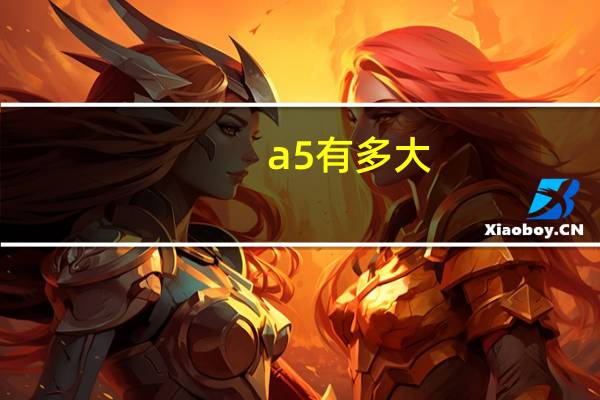 a5有多大