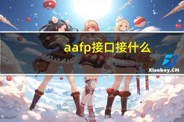 aafp接口接什么