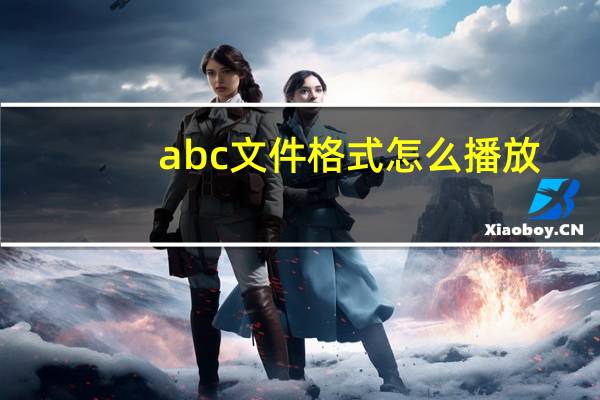 abc文件格式怎么播放（abc视频文件怎么打开）
