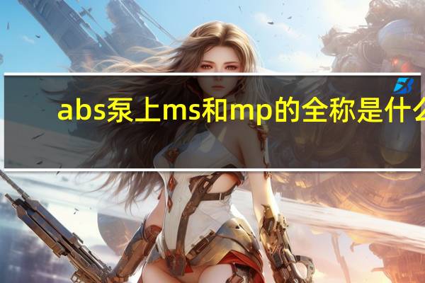 abs泵上ms和mp的全称是什么