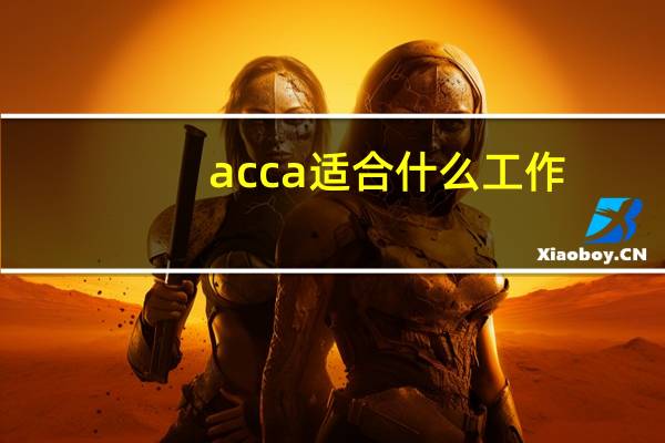 acca适合什么工作
