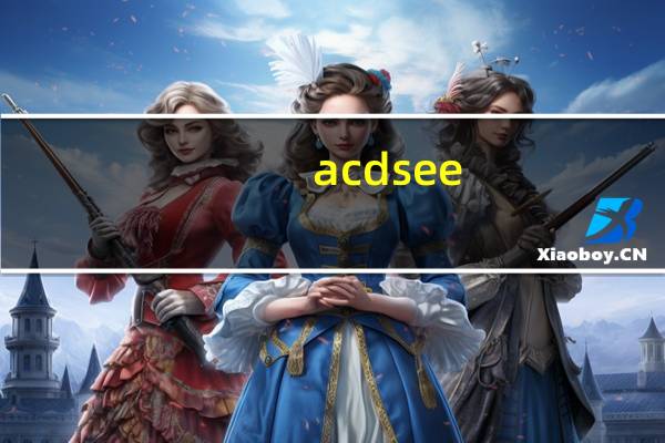 acdsee（中文版）