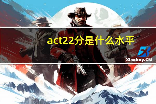 act22分是什么水平