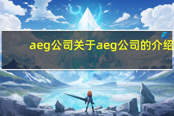 aeg公司 关于aeg公司的介绍
