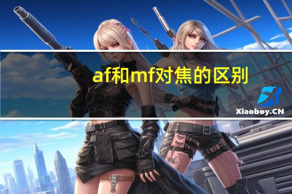 af和mf对焦的区别