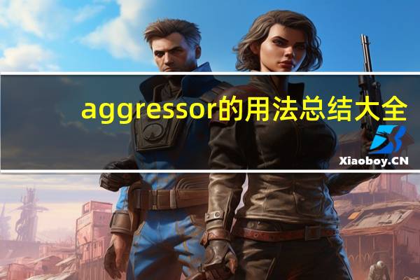 aggressor的用法总结大全