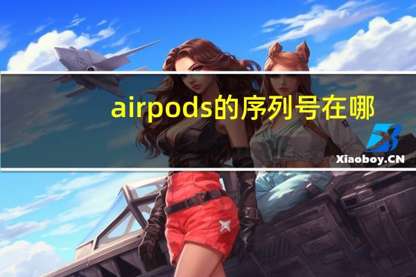 airpods的序列号在哪
