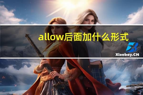 allow后面加什么形式