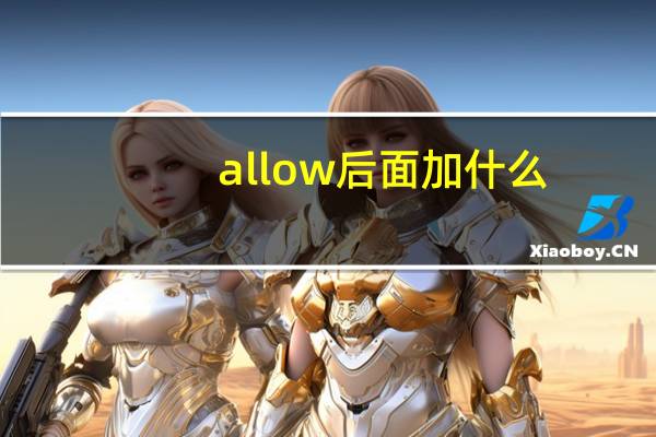 allow后面加什么