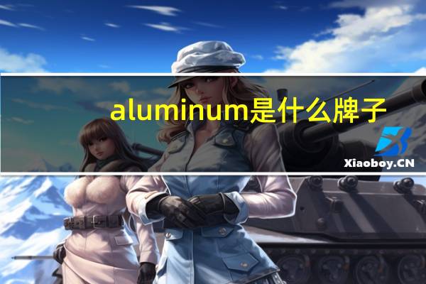 aluminum是什么牌子