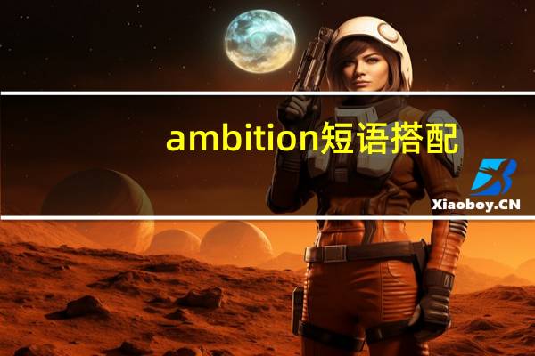 ambition短语搭配
