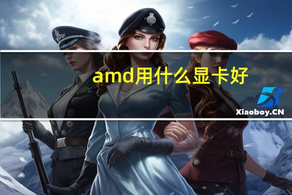 amd用什么显卡好
