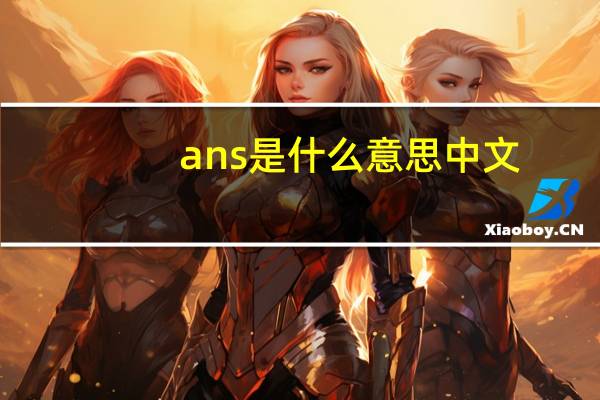 ans是什么意思中文