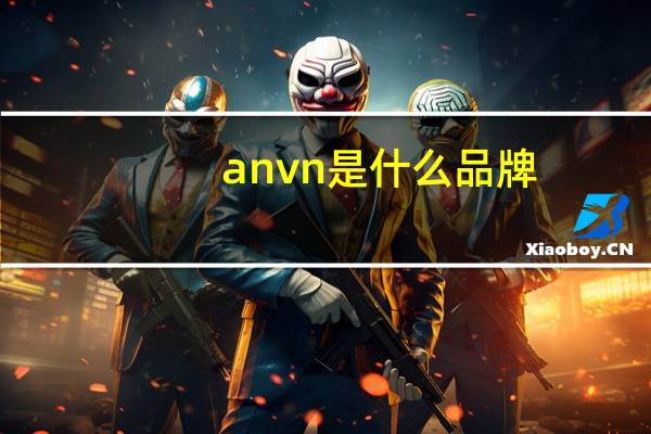 anvn是什么品牌