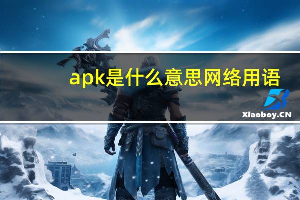 apk是什么意思网络用语（APK是什么意思）