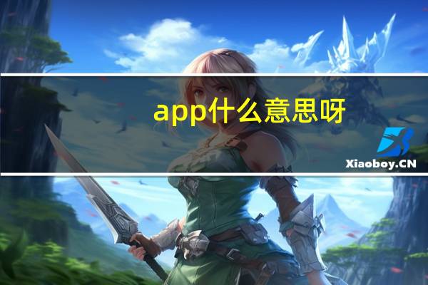 app什么意思呀(app什么意思)