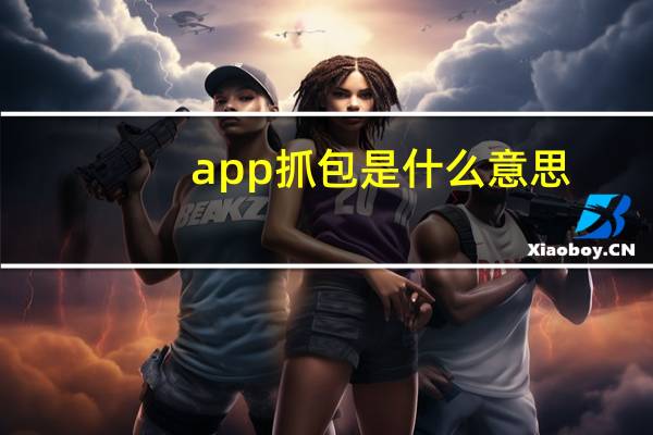 app抓包是什么意思（抓包是什么意思）