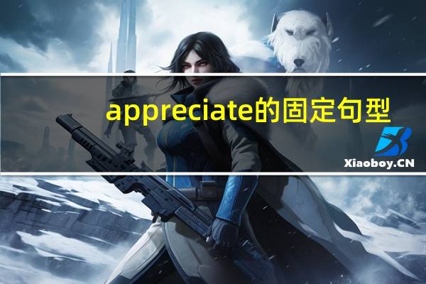 appreciate的固定句型