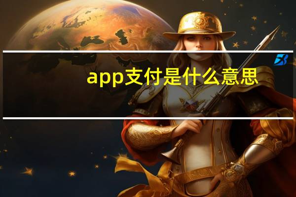 app支付是什么意思