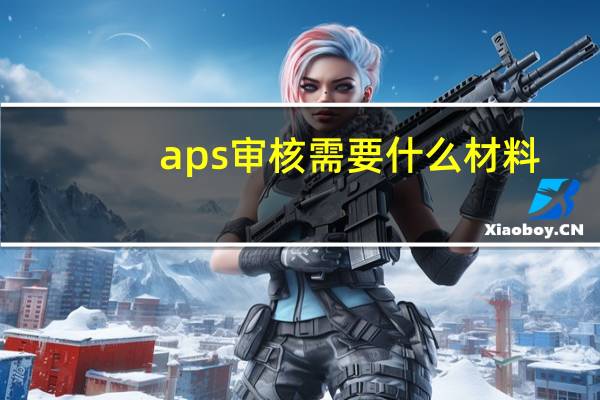 aps审核需要什么材料