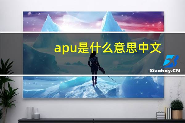 apu是什么意思中文（apu是什么）