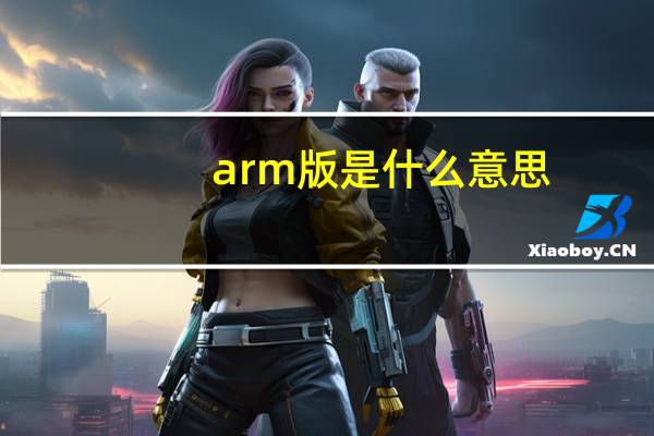 arm版是什么意思