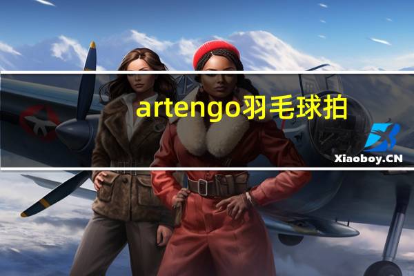 artengo羽毛球拍（artengo）