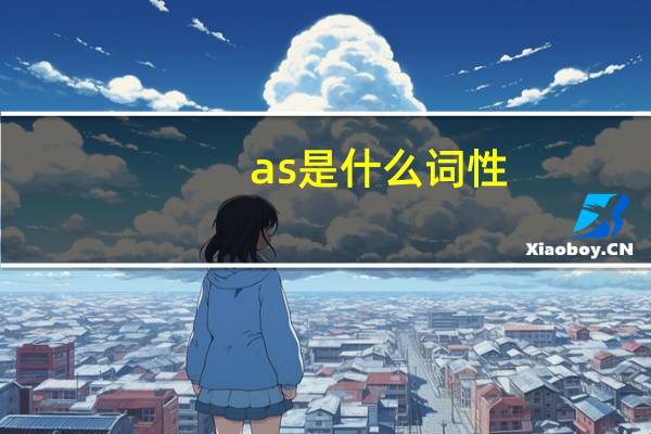 as是什么词性