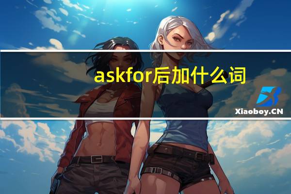 ask for后加什么词