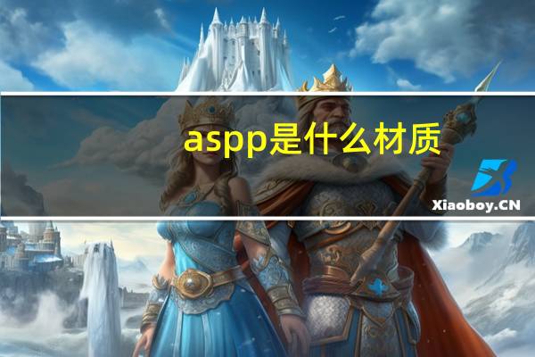 as pp是什么材质