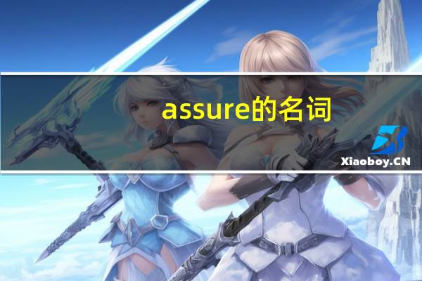 assure的名词