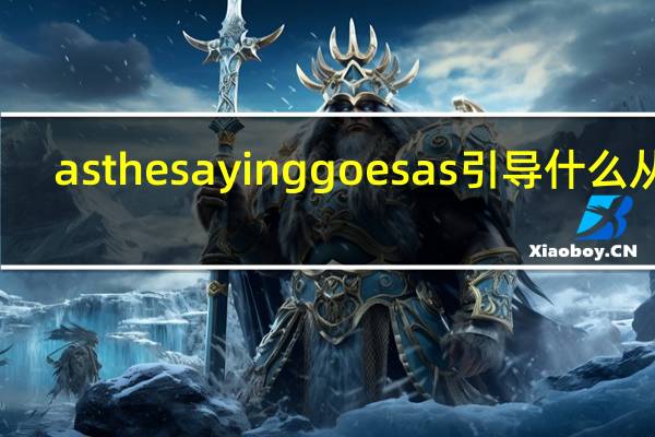 as the saying goes as引导什么从句