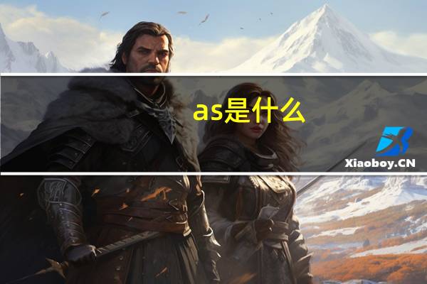 as是什么