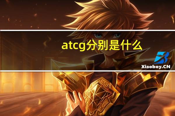 atcg分别是什么