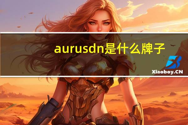 aurusdn是什么牌子