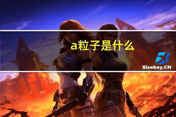 a粒子是什么
