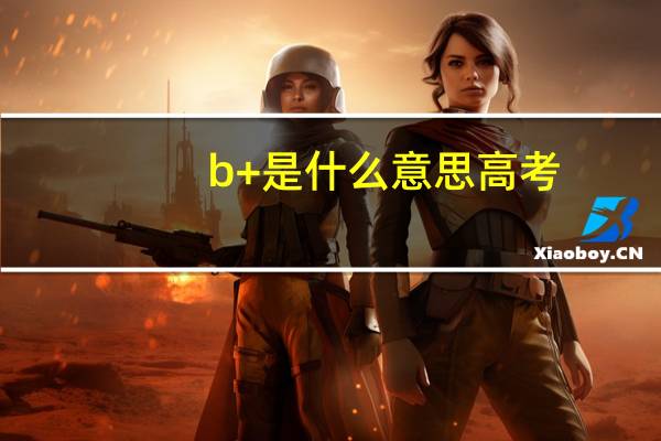 b+是什么意思高考