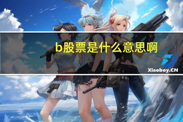 b股票是什么意思啊